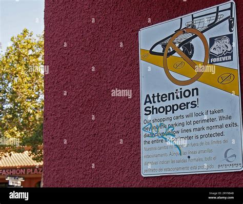 Shopping Cart Name In Spanish at Lauren Brennan blog