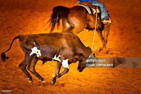 Image result for Team Roping Rodeo