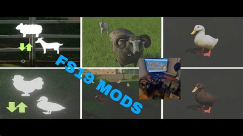 Rezultat imagine pentru FS19 Hunting Mod