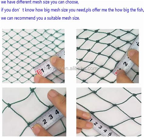 Image result for Netting Fast Fish Between Tanks