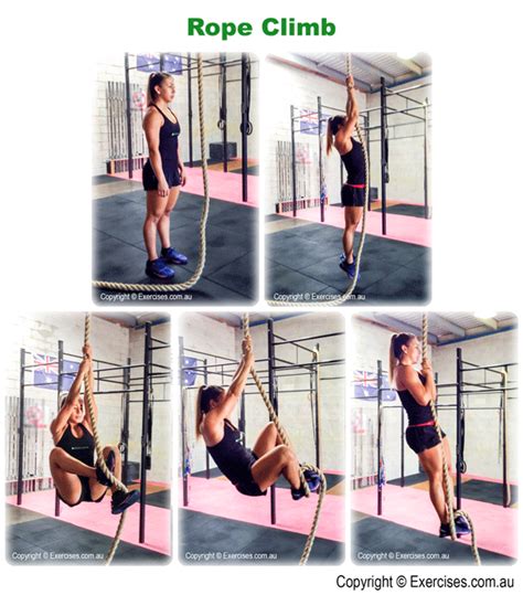 Image result for Rope Climb Tutorial