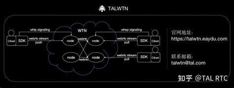 Wht Network 的图像结果