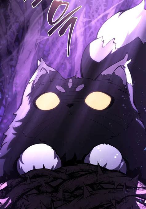 Shuri | Swordmaster's Youngest Son Wiki | Fandom