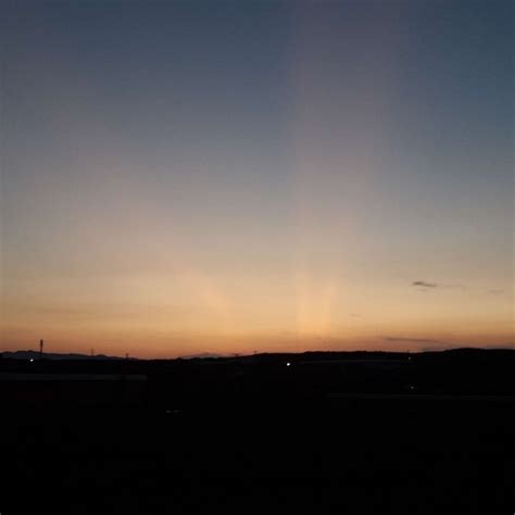 The hut by the woods. - Sum of The Whole - Reviews - Album of The Year