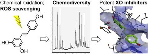 Oxidized Resveratrol Metabolites as Potent Antioxidants and Xanthine ...