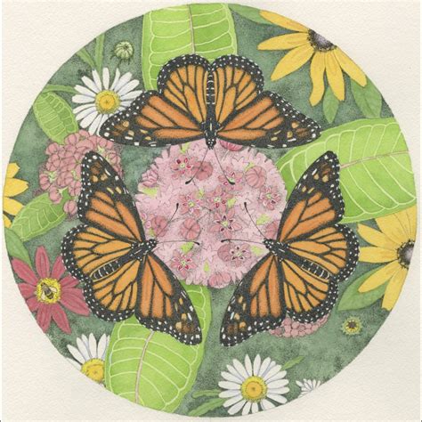 Monarch Meadow - Play Kettering