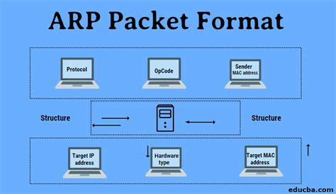 Image result for ARP Packet Format