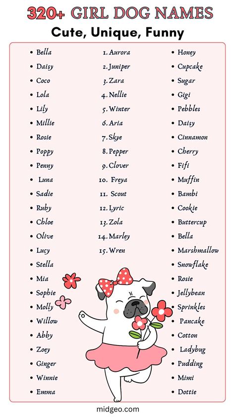 320 cute unique funny girl dog names – Artofit