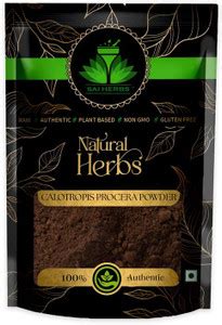 SAI HERBS Calotropis Procera Powder - Apple of Sodom Powder - Giant ...