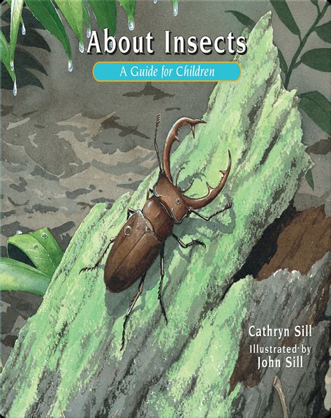 About Insects Book by Cathryn Sill | Epic
