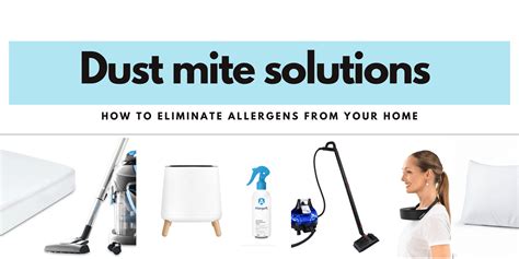 Dust Mite Solutions: How to Eliminate Allergens from Your Home – Dust Mite Allergy Solutions