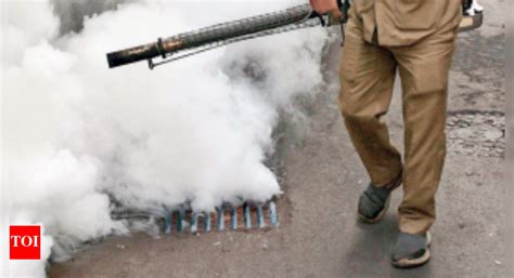 Bihar sees 46 new dengue cases | Patna News - Times of India