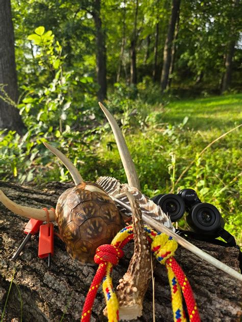 Back to the Basics: Wilderness Wisdom, Indian Camp Creek Park, 2679 ...
