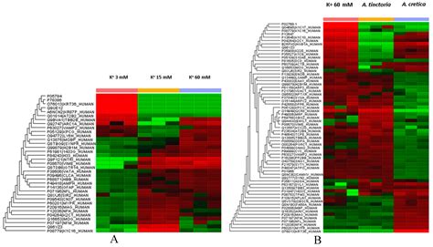 Comprehensive Chemical Profiling and Multidirectional Biological ...