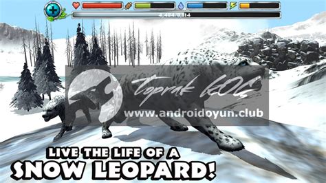 Snow Leopard Simulator 的图像结果