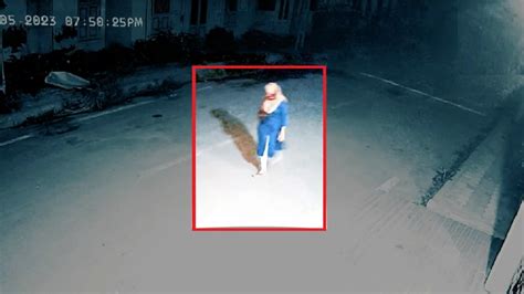 Death Mystery: लापता लड़की, पानी का पाइप और अधूरी लाश... DNA ने खोला ...