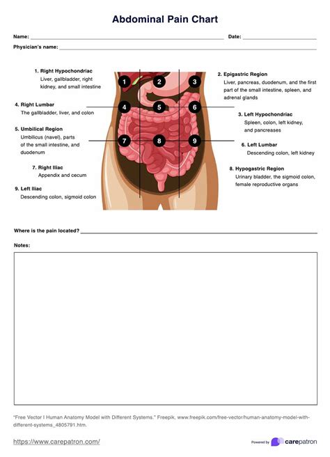 Abdominal Pain Charts