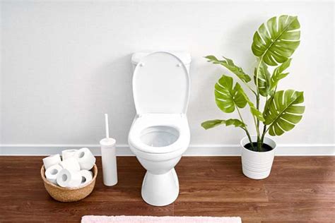 Green poop: What stool color can indicate about health - Harvard Health