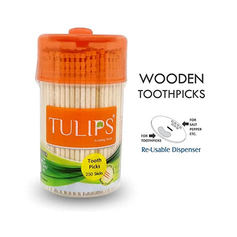 Buy Tulip Toothpick/Earbuds online at discounted price in Jhansi