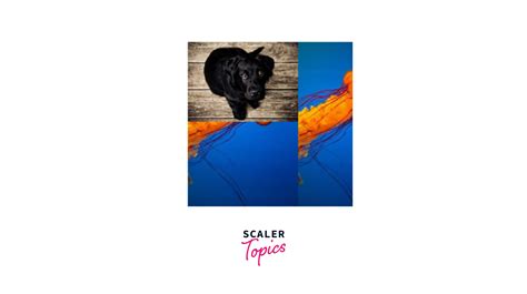 How to Set Multiple Background Images in CSS 的图像结果