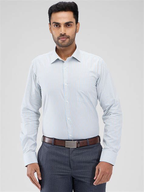 Park Avenue Blue Stripe Slim Fit Cotton Formal Shirt – MyRaymond