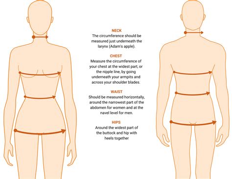 How To Measure Circumference Of Shoulders at Ian Stewart blog