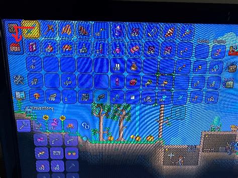 Image result for Debug Menu Terraria