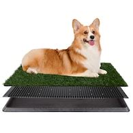 Puppy Training Pads at Lowes.com