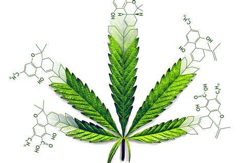 This Bill Could Destroy Texas' Market of Hemp-Derived THC Products : r ...