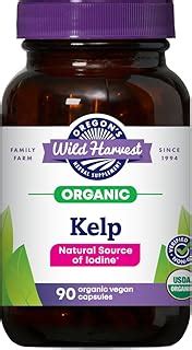 Dr. Kelp Diet: Where's My Seaweed? | ShunKeto