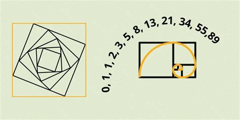 Image result for Fibonacci Series Tutorial
