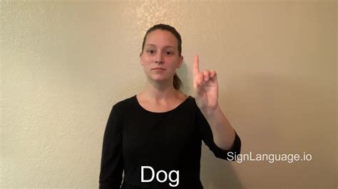 What Is Dog In Asl Sign Language at Dean Metoyer blog