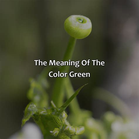Olive Green Meaning Personality at Gwen Mayer blog