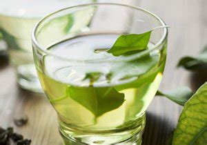 Plant Extract - Plant Extracts Manufacturers In India