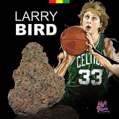 Larry Bird Strain Review - Aroma, Effects & More | Weed Delivery