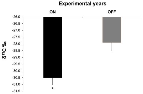 The Ecophysiological Response of Olive Trees under Different Fruit Loads