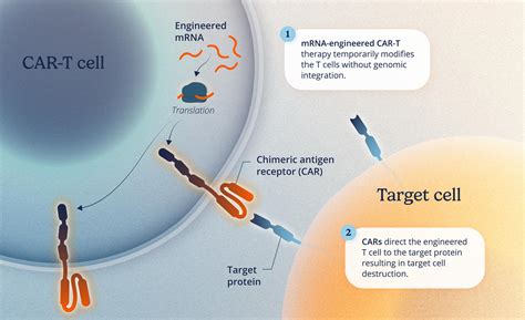 Image result for Cartesian Science