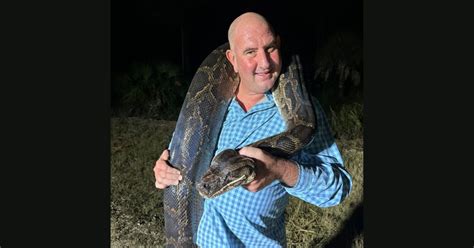 Image result for 25 Foot Python Snake