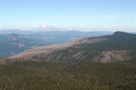 Larch Mountain’s Incredible Sherrard Point — Pines and Vines — Pines ...