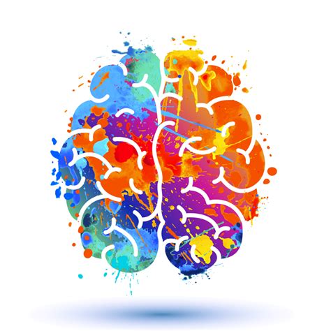 Image result for Improving Brain Function and Memory