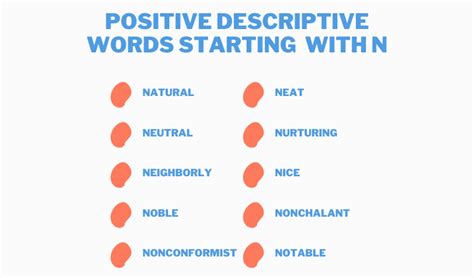 230 Positive Words That Start With N [Vocabulary Guide 2024]
