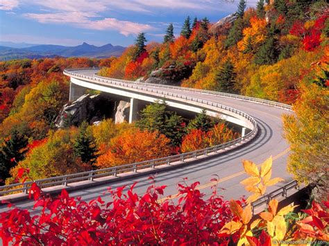 Image result for Fall From Step Ladder