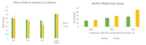 Lemongrass oil disrupts the biofilm of Candida albicans MTCC 1637T on ...