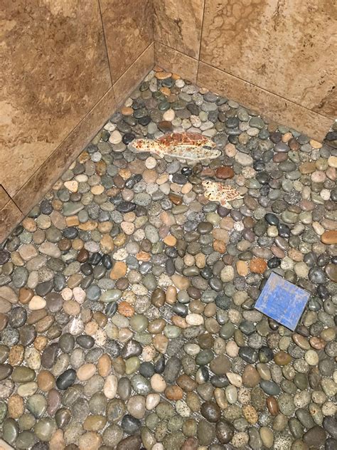master shower in progress river rock floor and ceramic honu (turtles ...