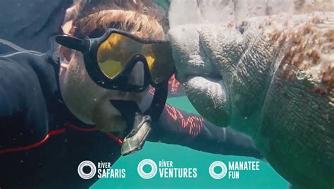 River Ventures Manatee Tour and Kayak Center in Crystal River | VISIT ...