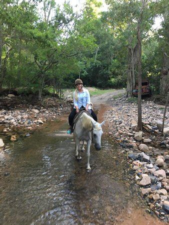 Stoney Creek Farmstay (Mackay) - All You Need to Know BEFORE You Go