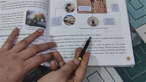 Image result for Animation of Ch 5 Class 7 Science