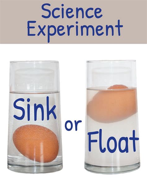 Sink or Float? | Easy Science for Kids | Cool science experiments ...