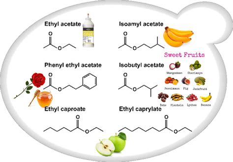 Wine Aroma and Flavor Compounds | Encyclopedia MDPI