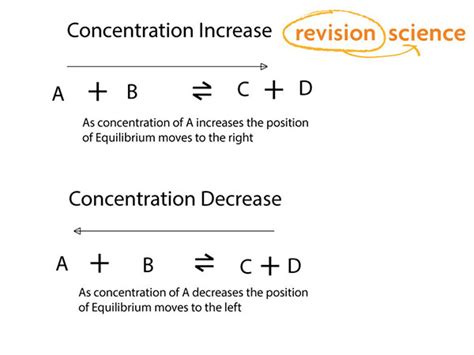 Image result for Equilibrium Equation Example